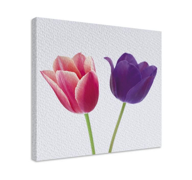 Purple and pink tulips flower canvas - TenStickers
