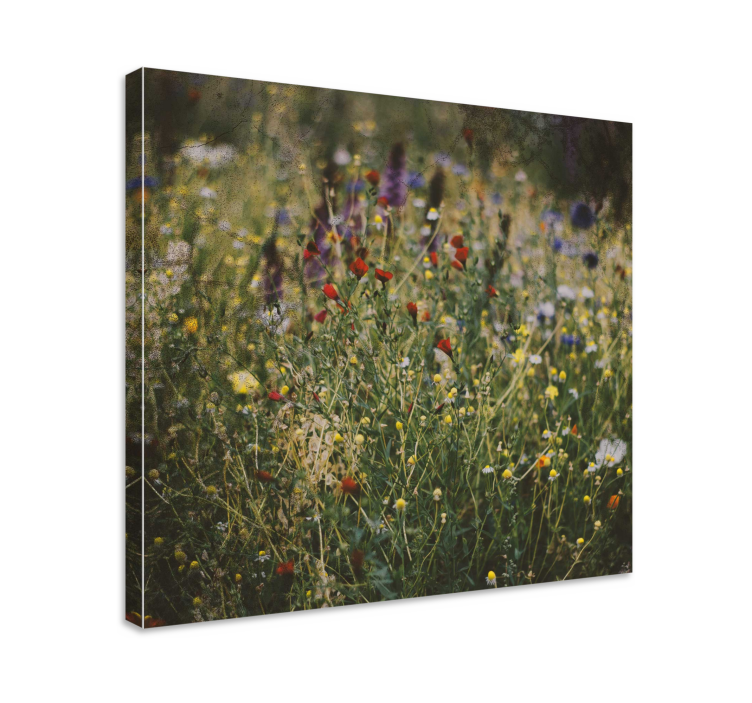Flowers canvas wildflower meadow art print - TenStickers