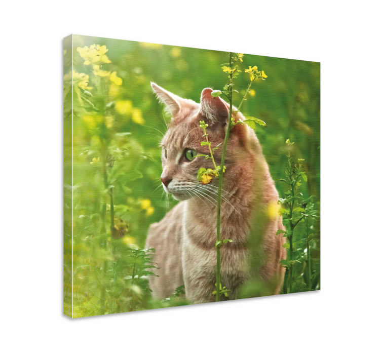 Cat wall art curious feline exploring - TenStickers