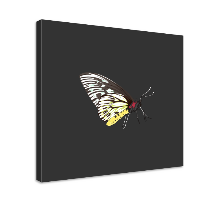 Butterfly canvas elegant butterfly silhouette - TenStickers