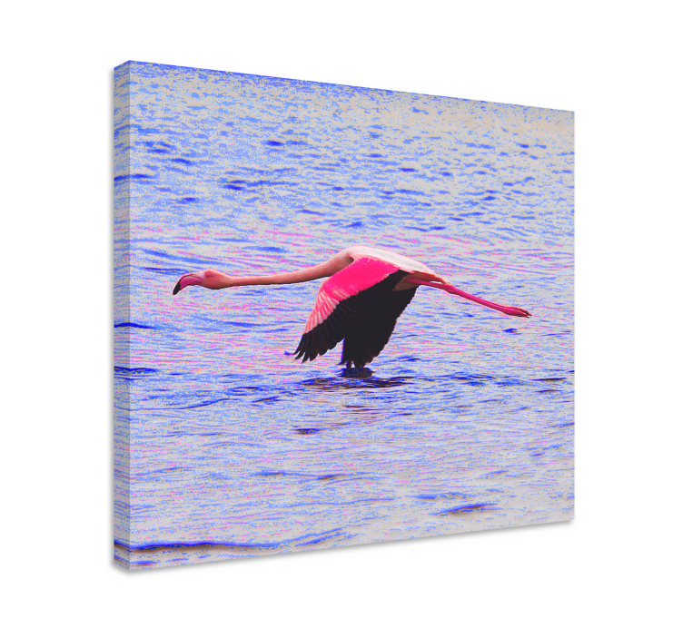Fish canvas flamingo in flight - TenStickers
