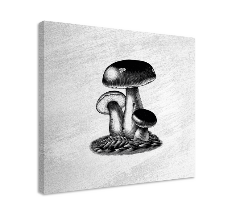 Flowers canvas mushroom trio - TenStickers