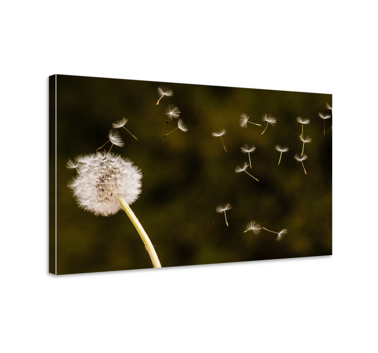 Flowers canvas dandelion seeds in the wind - TenStickers