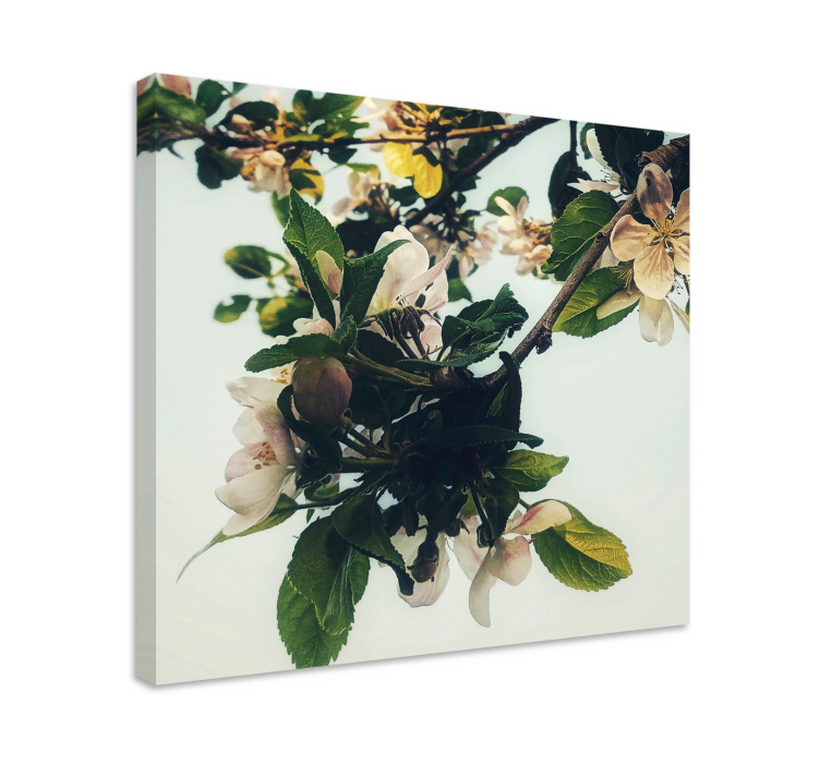 Flowers canvas blooming apple branch - TenStickers