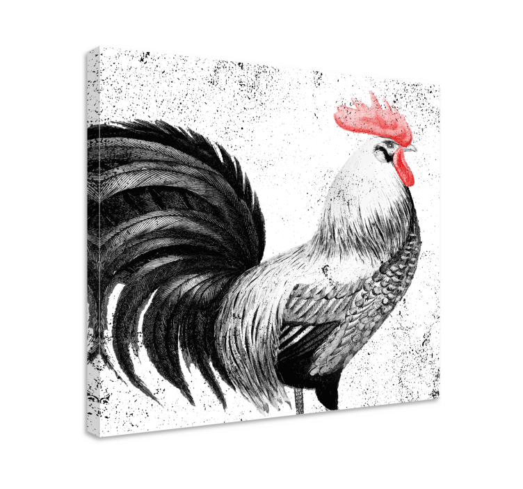 Black and red rooster bird canvas - TenStickers