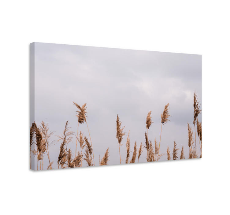 Flowers canvas tall grass stalks - TenStickers