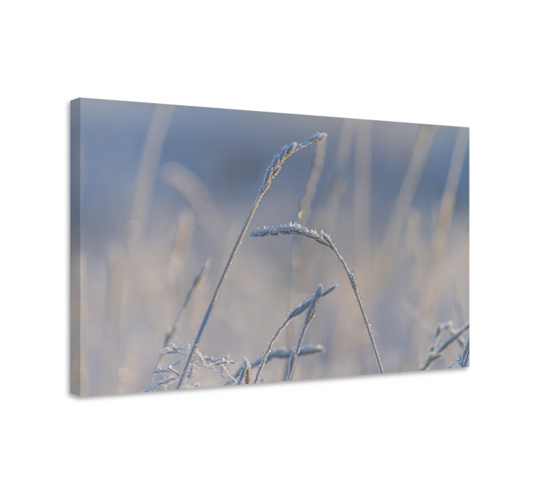 Flowers canvas frosty grass stems - TenStickers