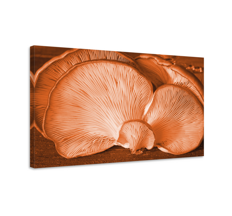 Flowers canvas oyster mushroom detail - TenStickers
