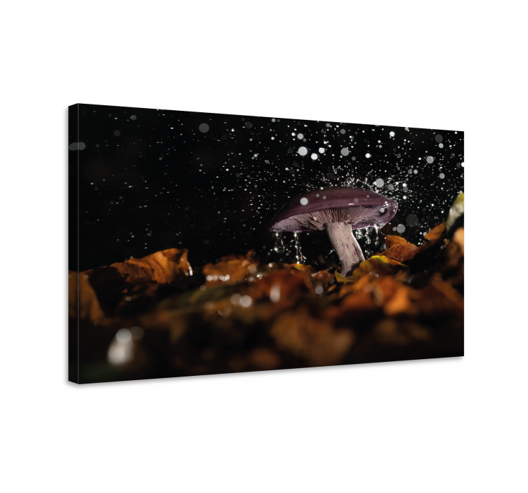 Mushroom splash flowers canvas - TenStickers