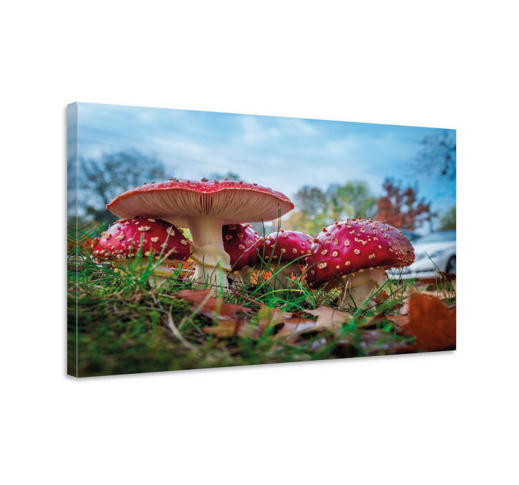 Flowers canvas red mushroom cluster art print - TenStickers