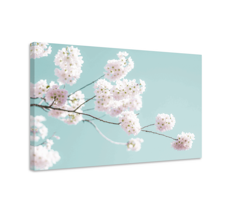 Flowers canvas sakura bloom stem - TenStickers