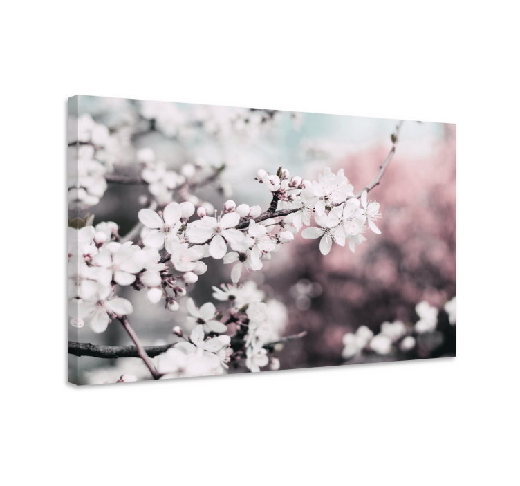 White cherry blossom Flowers  canvas - TenStickers