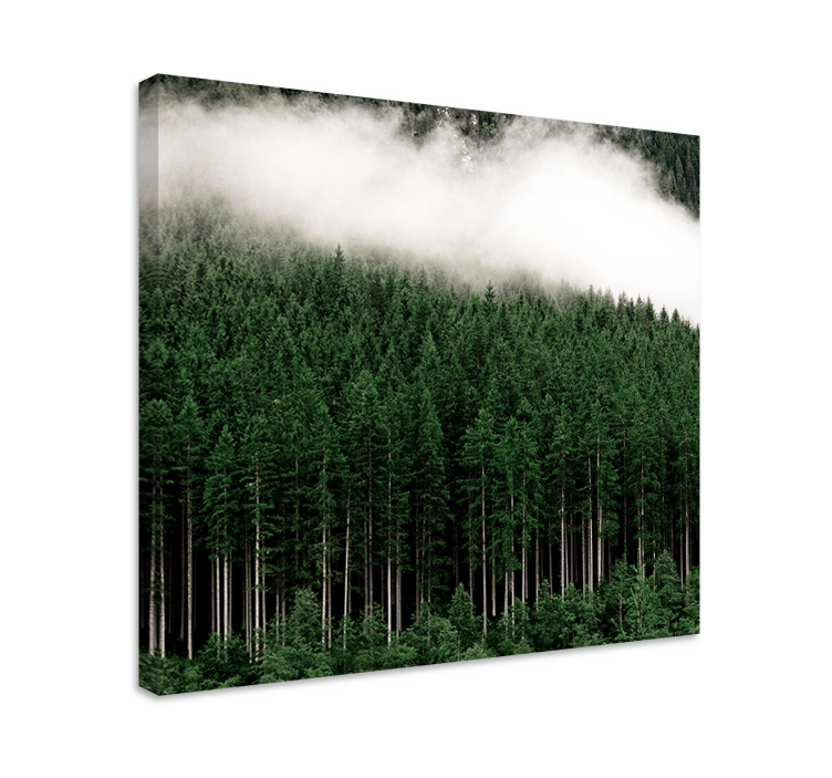 Tree canvas wall art misty evergreen forest - TenStickers