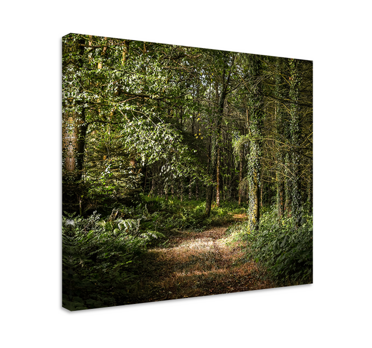 Landscape canvas woodland trail scene - TenStickers