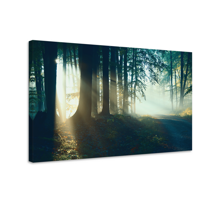 Misty woodland trail landscape canvas - TenStickers