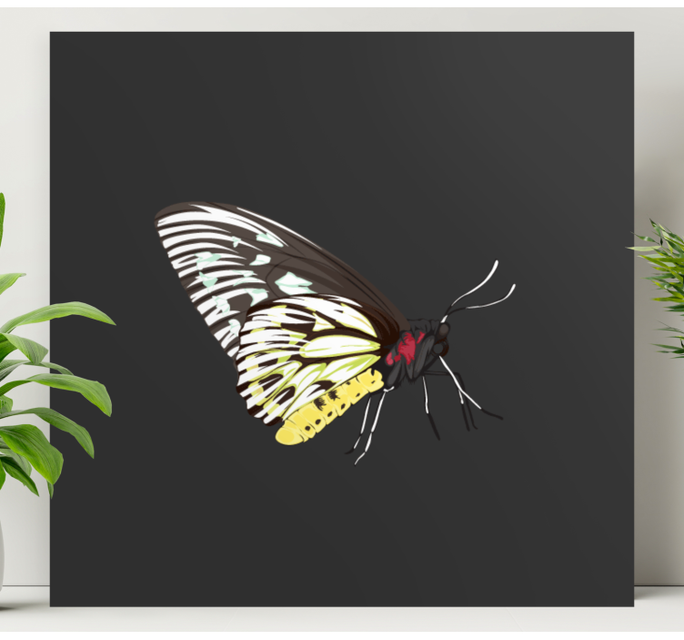 Butterfly canvas elegant butterfly silhouette - TenStickers