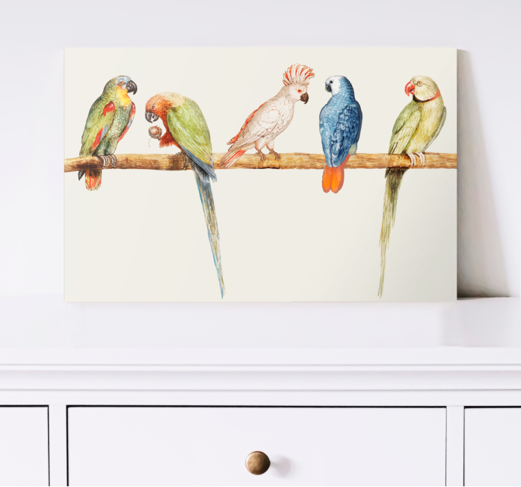 Dog wall art colorful parrot collection - TenStickers