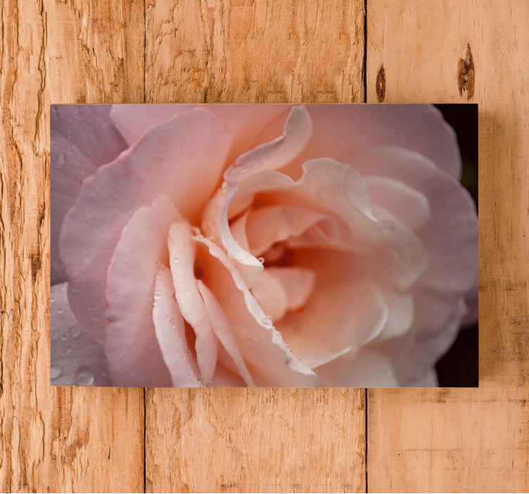 Flowers canvas delicate rose blossom - TenStickers