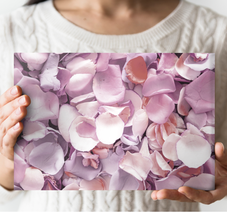 Flowers canvas rose petal collection - TenStickers