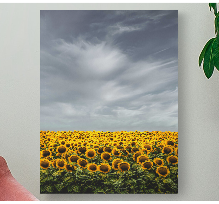 Flowers canvas sunflower field - TenStickers