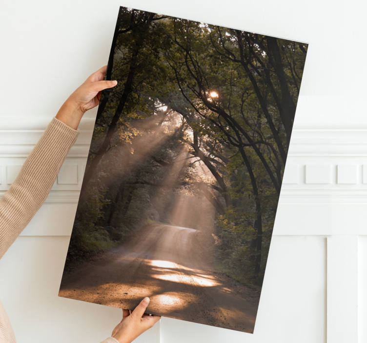 Landscape canvas sunshine woodland path - TenStickers