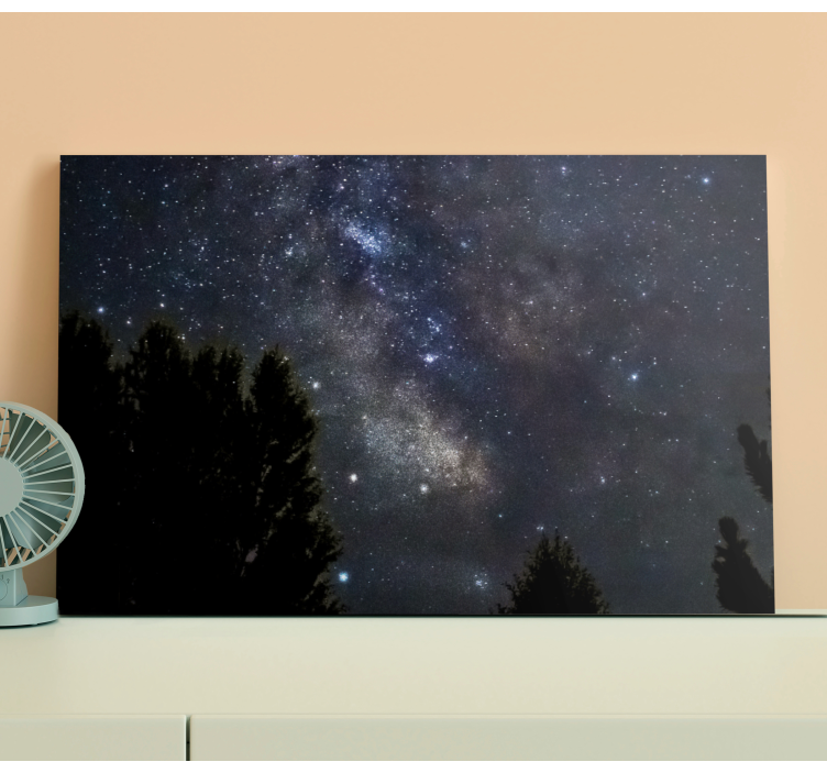 Night starry sky landscape canvas - TenStickers