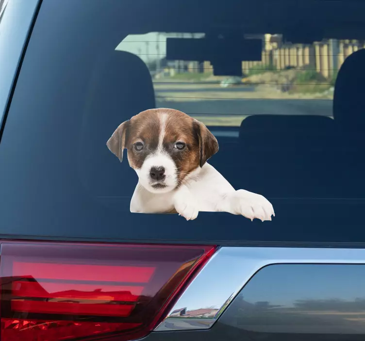 A dog peeking in cat sticker - TenStickers
