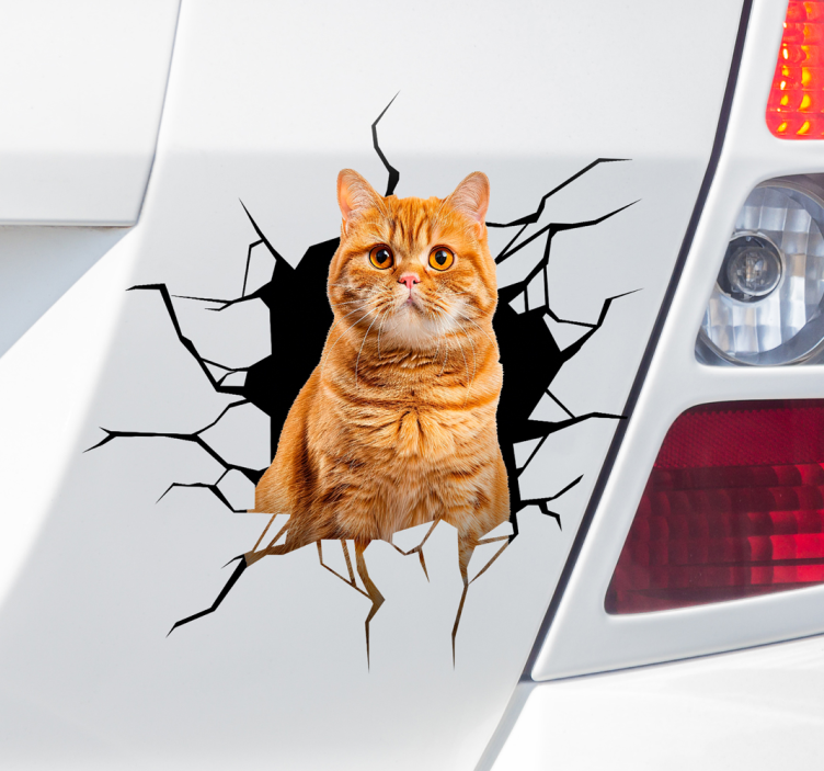 Cat in hole car sticker - TenStickers