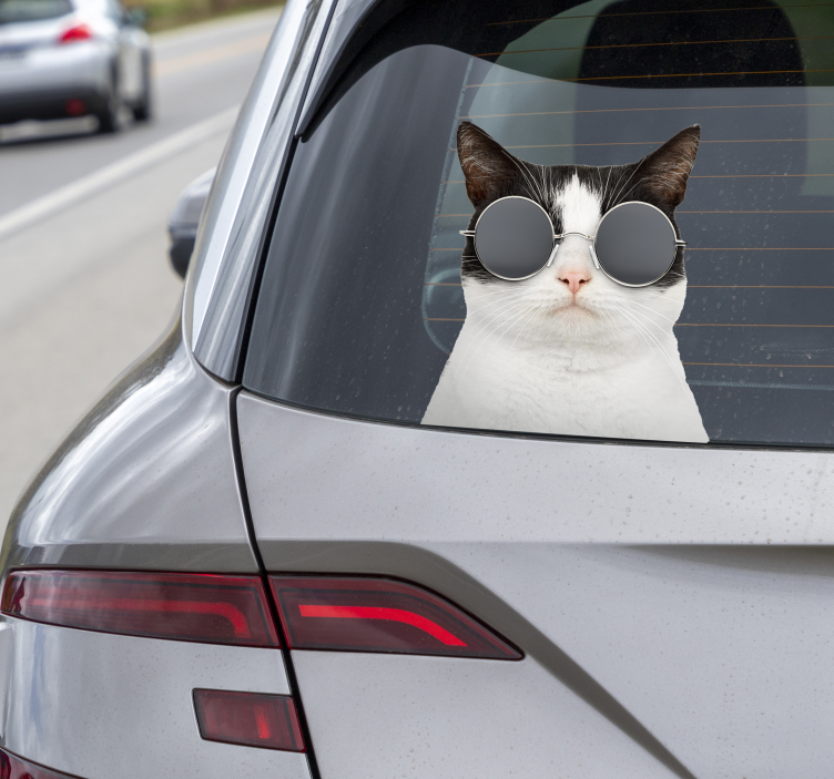 cat with sunglasses car sticker - TenStickers