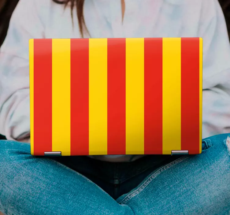 Catalonia Striped Colors laptop skin - TenStickers
