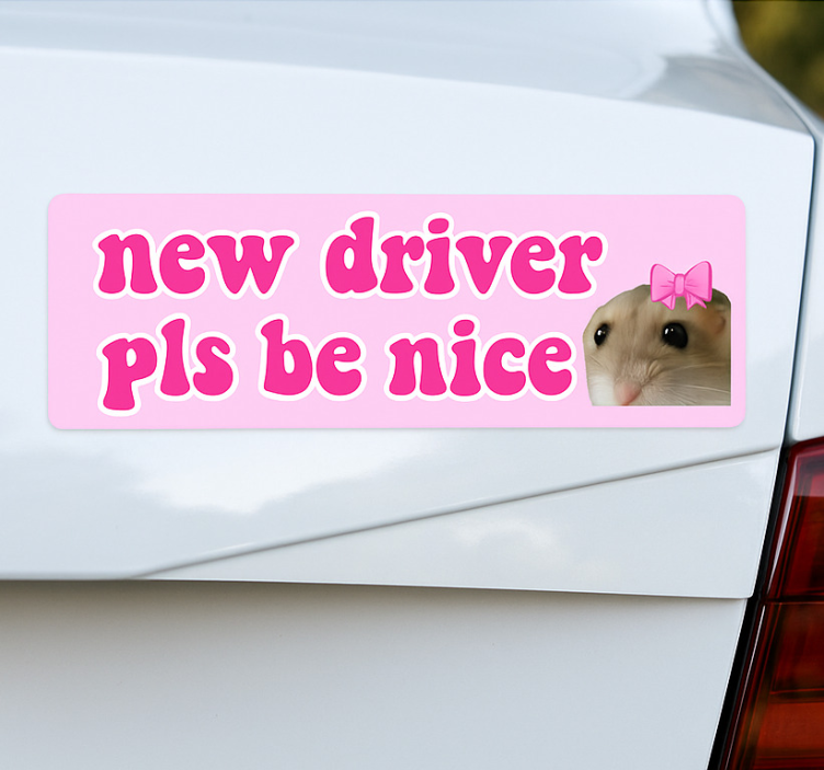 Car sticker new driver please be kind - TenStickers