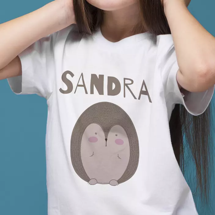 porcupine drawn with name t-shirt - TenStickers