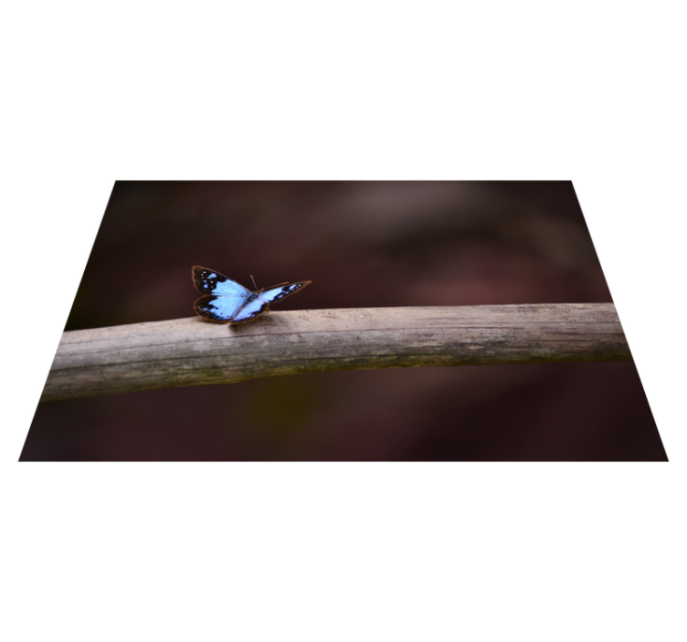 Butterfly on Branch nature vinyl rug - TenStickers