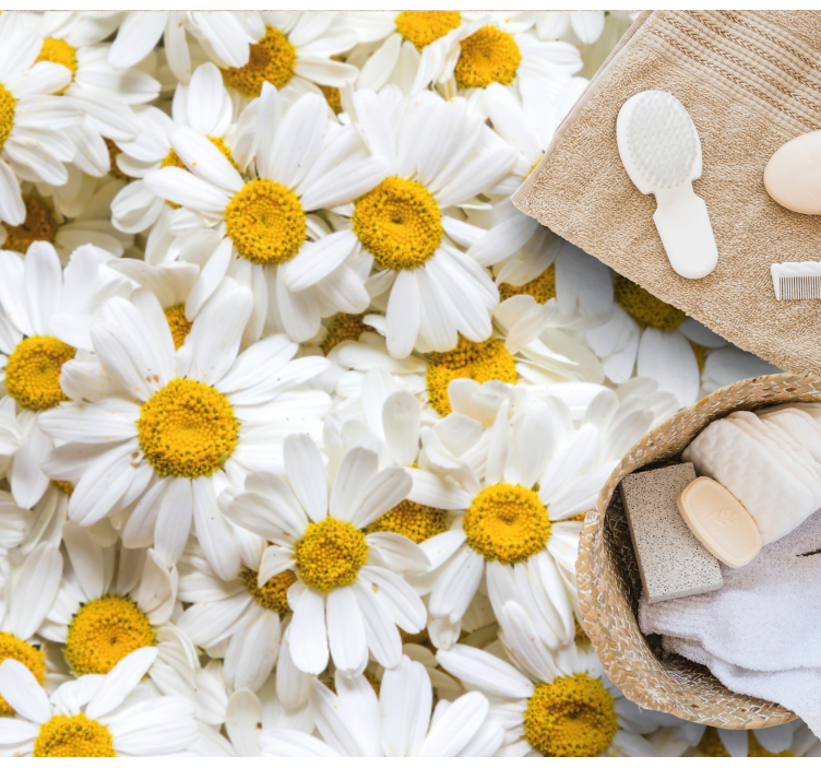 Daisy Blossom Concept bathroom vinyl rug - TenStickers