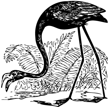 Animal vinyl rug flamingo with ferns - TenStickers