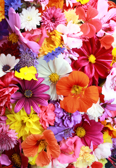 Floral vinyl rug with a bounty of vibrant blooms - TenStickers