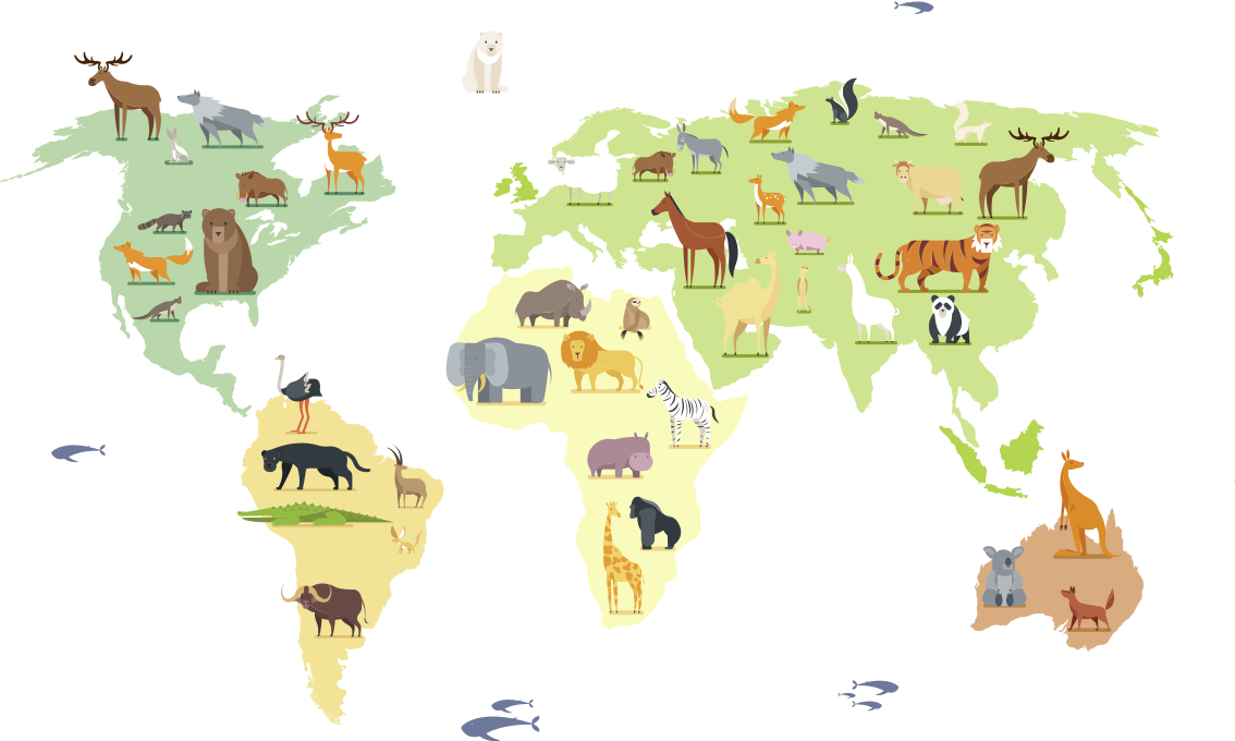 Colorful animals of the continents bedroom vinyl rug - TenStickers