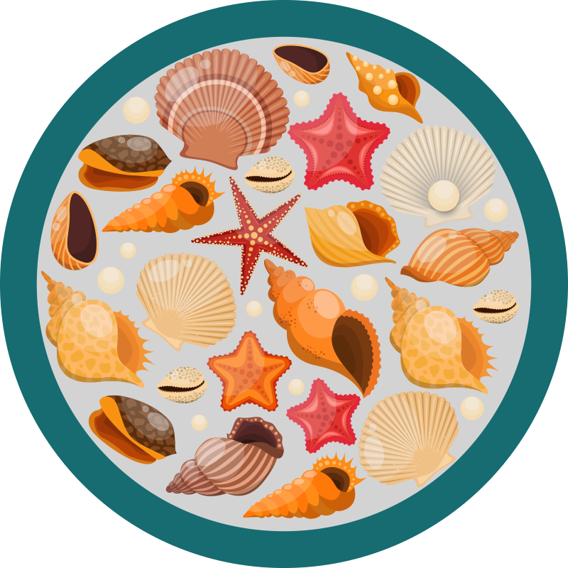 Seashell Collection animal vinyl rug - TenStickers