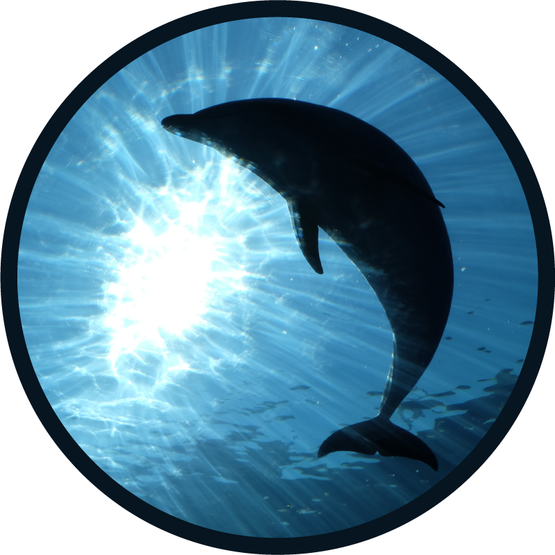 Dolphin splashing up animal vinyl rug - TenStickers
