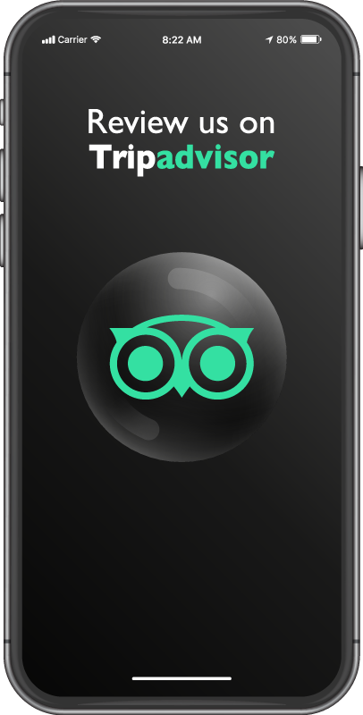 Review us on Tripadvisor sales vinyl rug - TenStickers