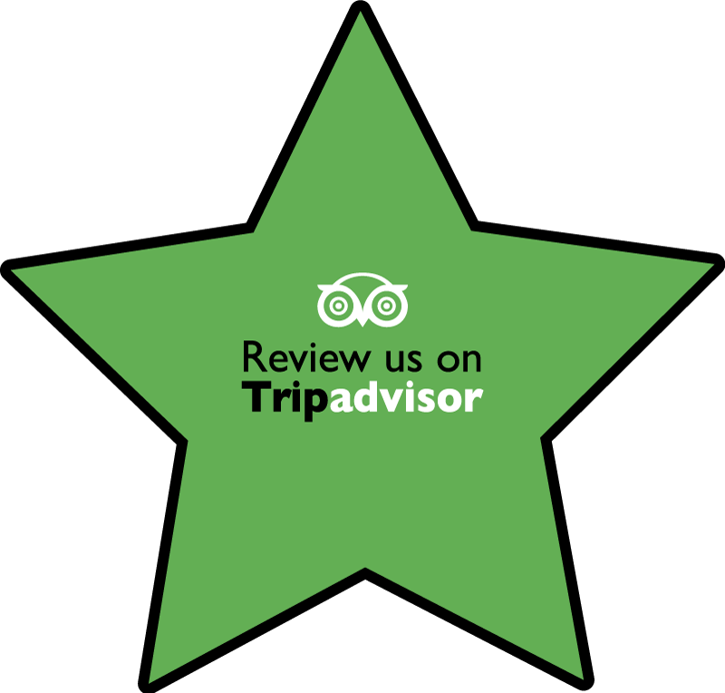 Review us on Tripadvisor custom rug - TenStickers