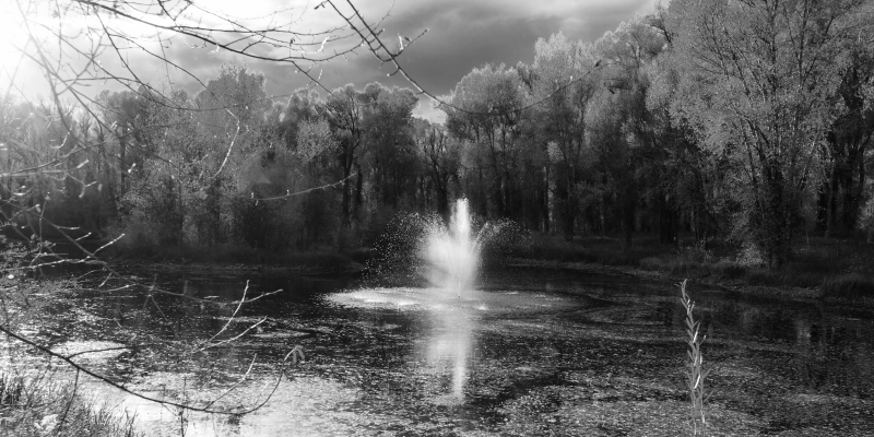 Serene Waterfall View nature vinyl rug - TenStickers