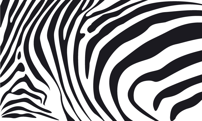 Animal print vinyl rug zebra stripes - TenStickers