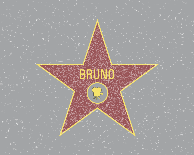 Star Recognition custom vinyl rug - TenStickers