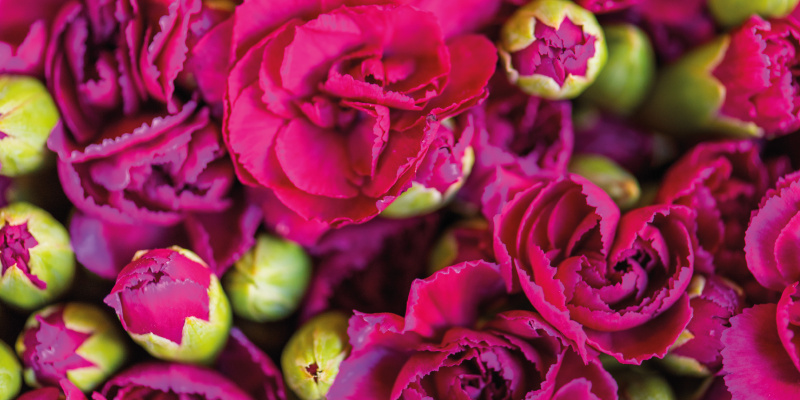 Lively Botanical Blossoms floral vinyl rug - TenStickers