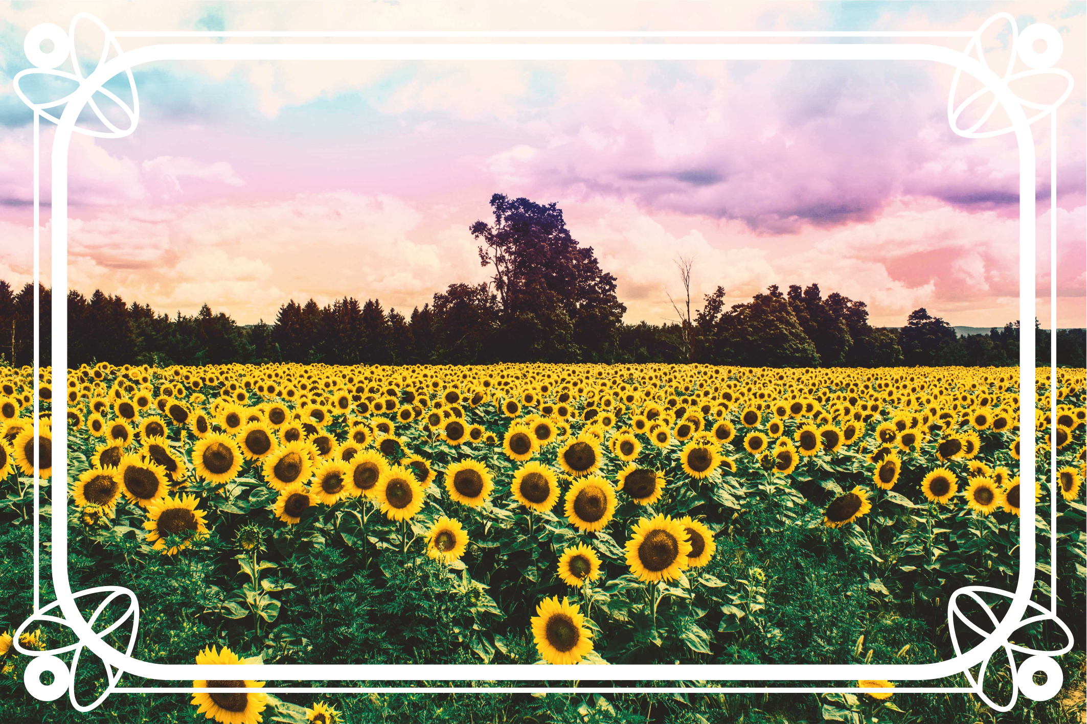 Sunflower Field Scene nature vinyl rug - TenStickers