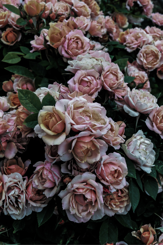 Graceful Bloom Arrangement floral vinyl rug - TenStickers