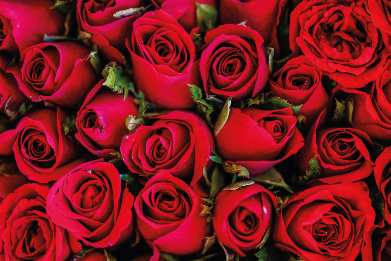 Rose bouquet floral vinyl rug - TenStickers