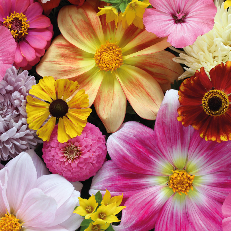 Beautiful realistic arrangement floral vinyl rug - TenStickers