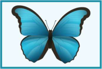 Blue butterfly animal vinyl rug - TenStickers